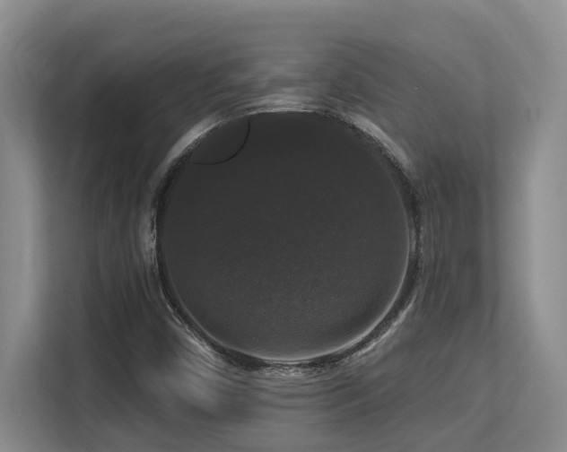 X0000113271450200909101509