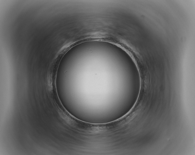 X0000113271451200909101509