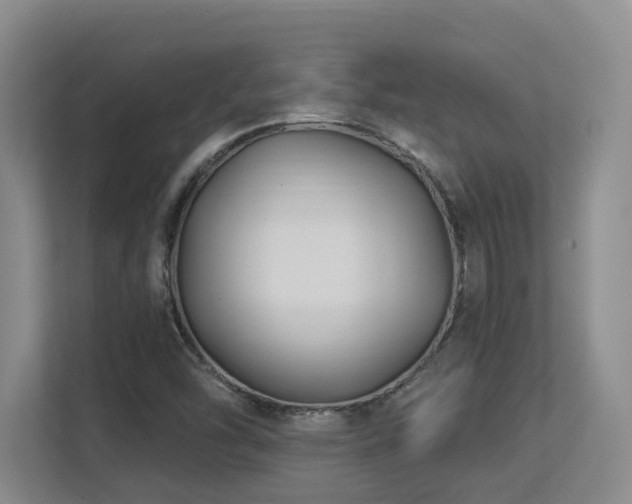 X0000113271454200909101509