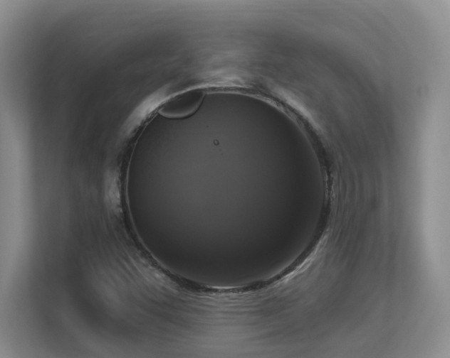X0000113271455200909101509