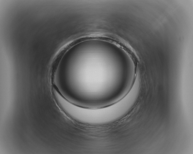 X0000113271456200909101509