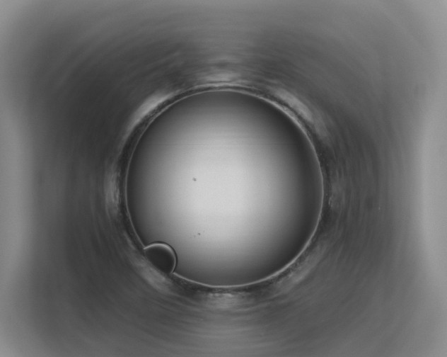 X0000113271458200909101509