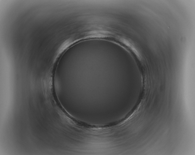 X0000113271459200909101509
