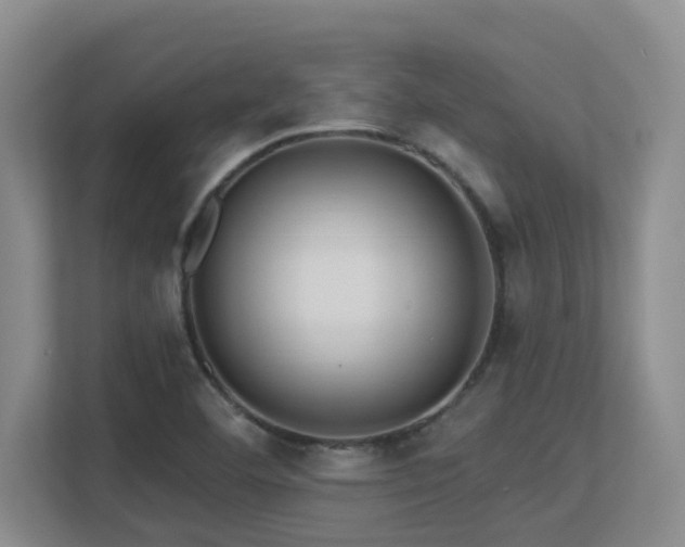 X0000113271460200909101509