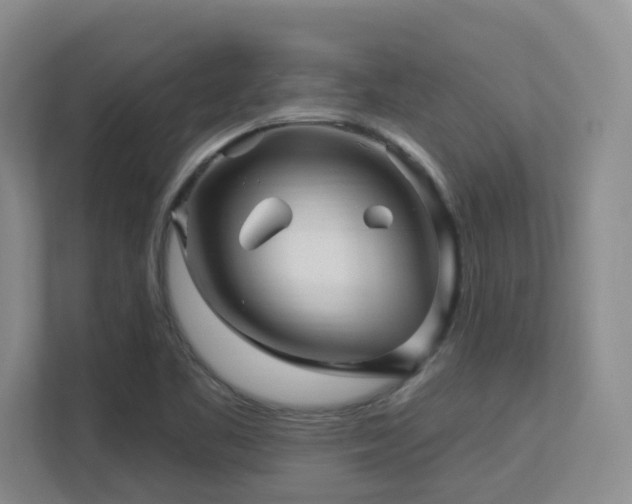 X0000113271461200909101509