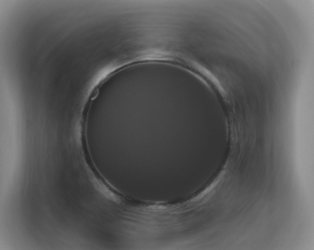 X0000113271463200909101509