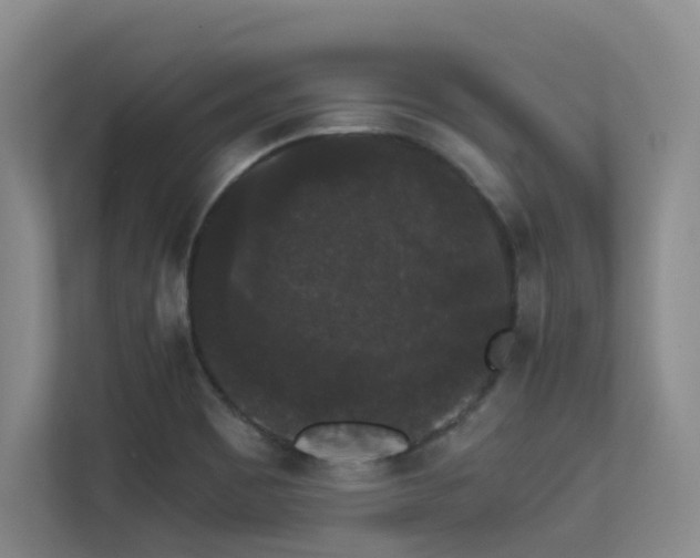 X0000113271465200909101509