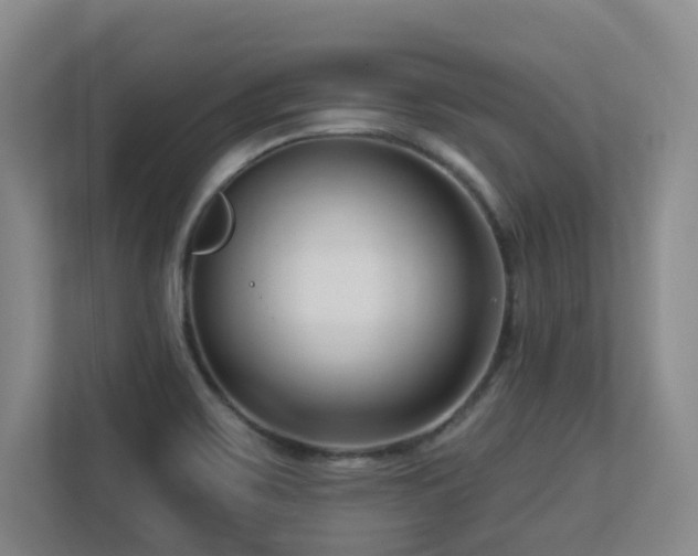 X0000113271467200909101509