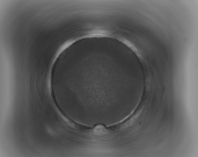 X0000113271469200909101509