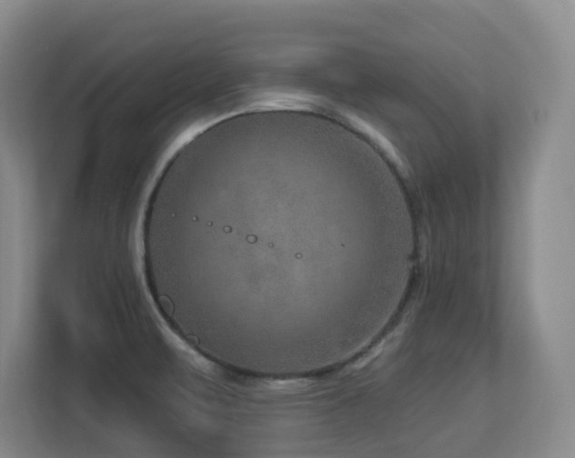X0000113271471200909101509