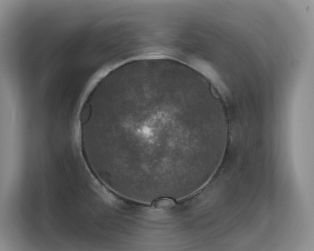 X0000113271472200909101509