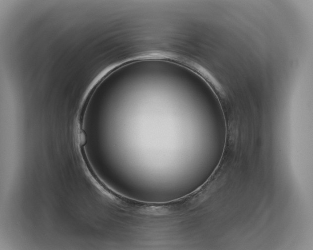 X0000113271476200909101509