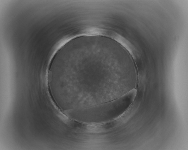 X0000113271477200909101509