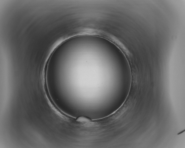 X0000113271479200909101509