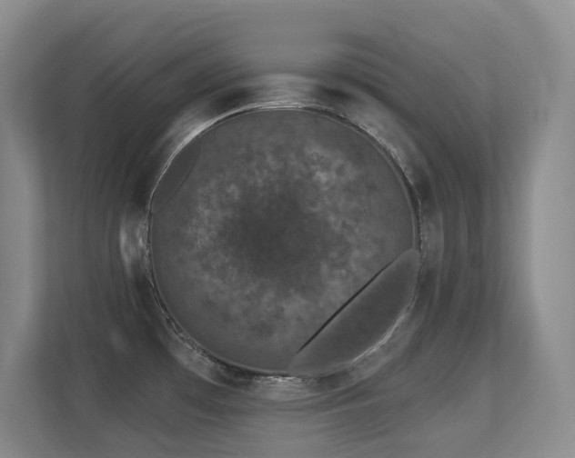 X0000113271481200909101509