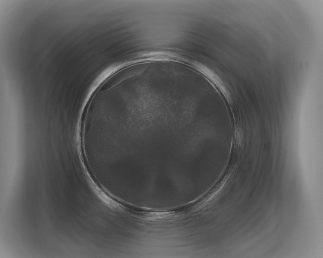 X0000113271482200909101509