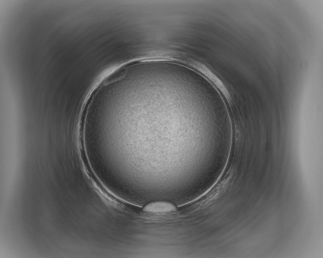 X0000113271485200909101509