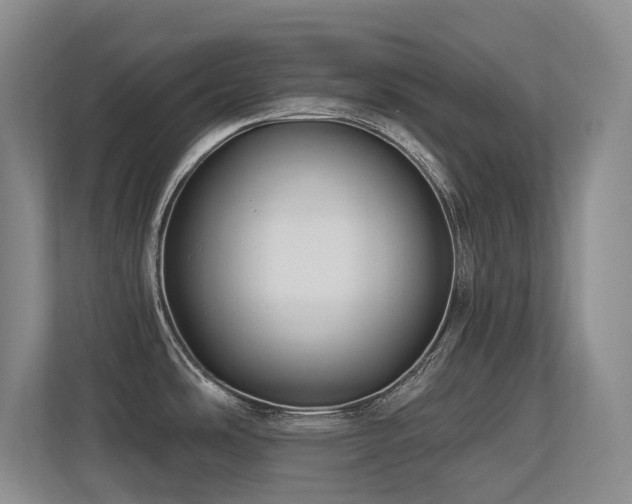 X0000113271486200909101509