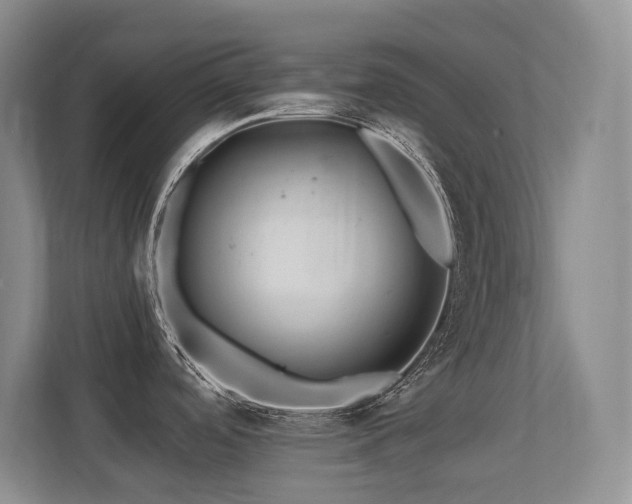 X0000113271488200909101509