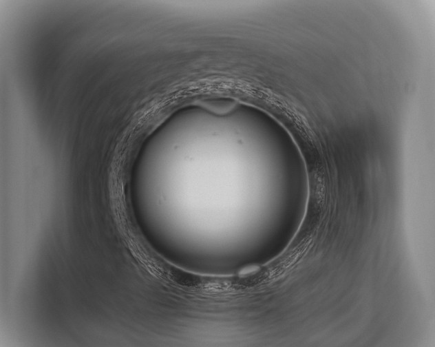 X0000113271489200909101508