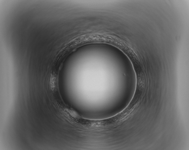 X0000113271490200909101508
