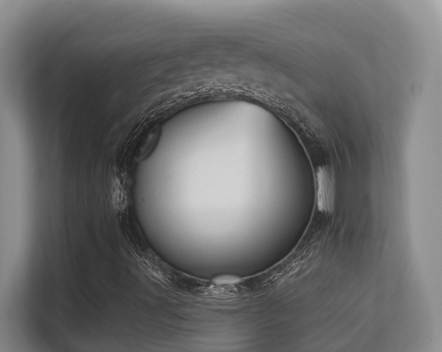 X0000113271491200909101508