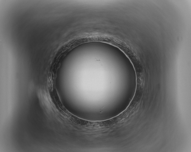 X0000113271493200909101508