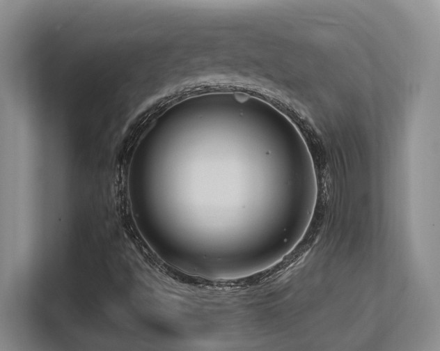 X0000113271494200909101508