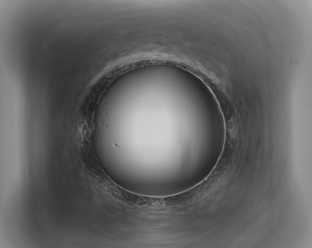 X0000113271495200909101508