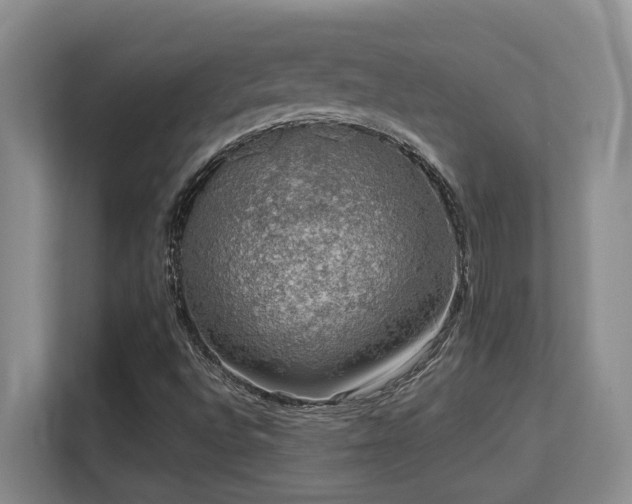 X0000113271496200909101508