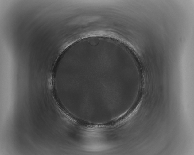 X0000113271497200909101508