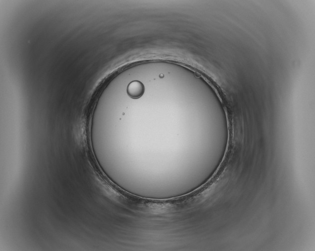 X0000113271498200909101508