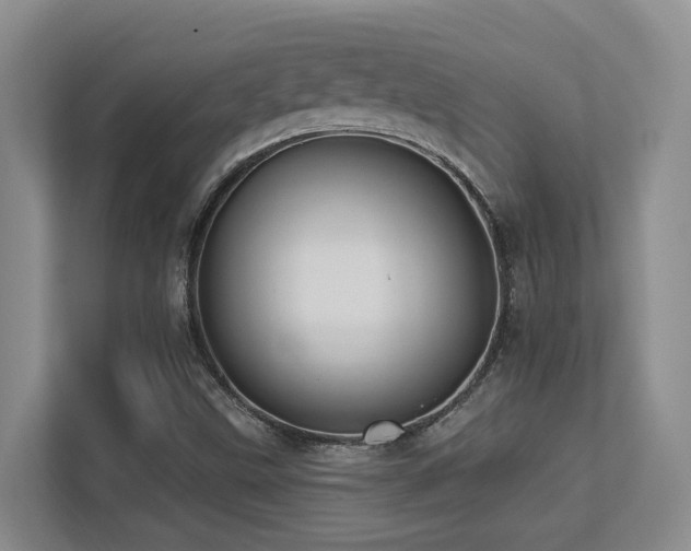X0000113271499200909101508
