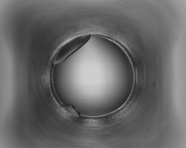 X0000113271500200909101508