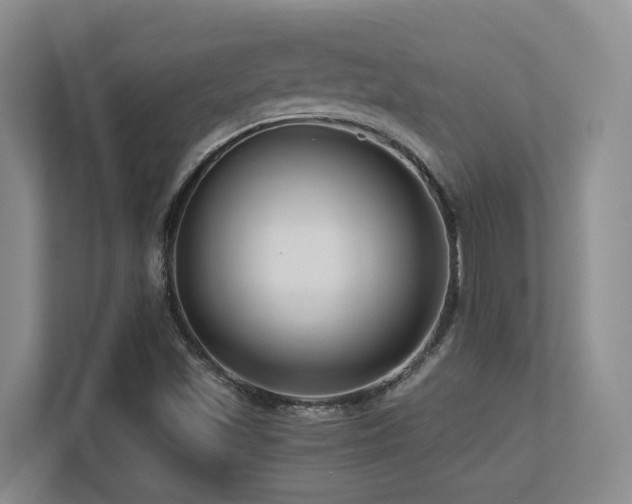 X0000113271501200909101508