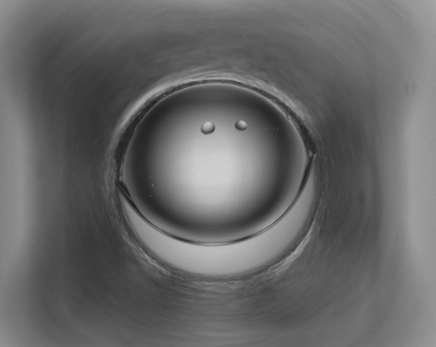 X0000113271502200909101508