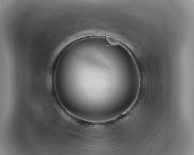 X0000113271503200909101508