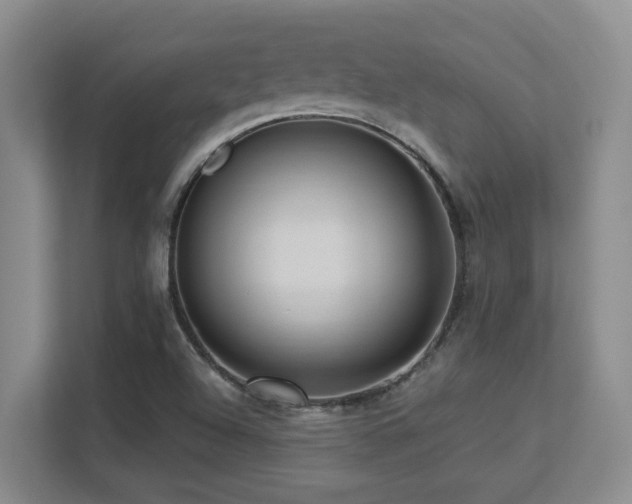 X0000113271504200909101508