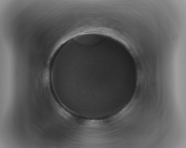 X0000113271506200909101508
