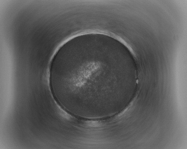 X0000113271508200909101508