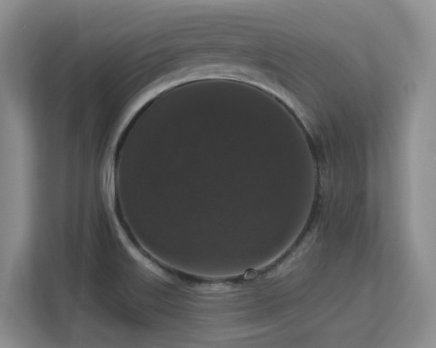 X0000113271515200909101509