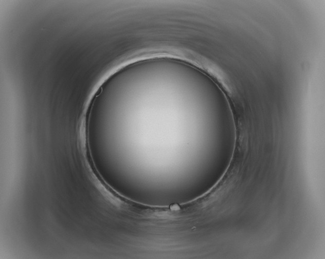 X0000113271516200909101509