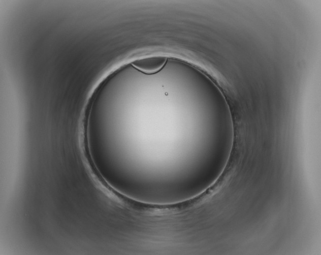 X0000113271518200909101509