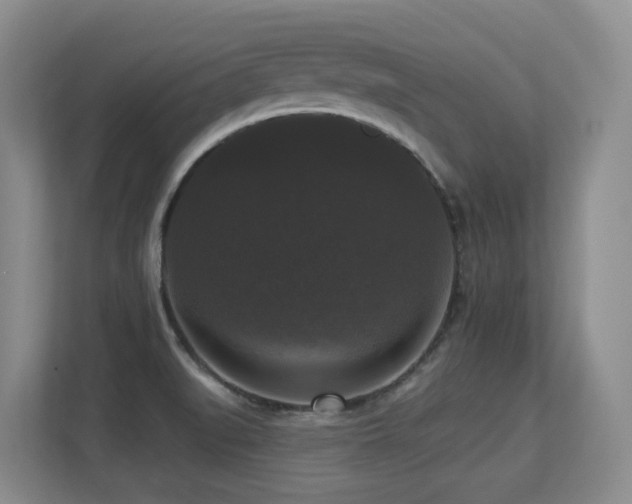 X0000113271519200909101509