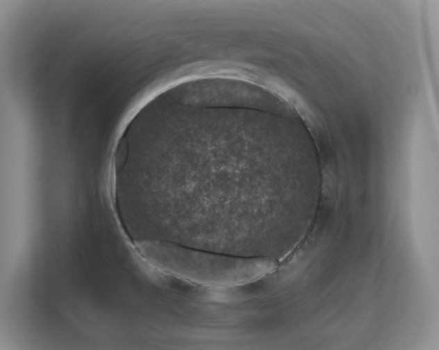 X0000113271520200909101509
