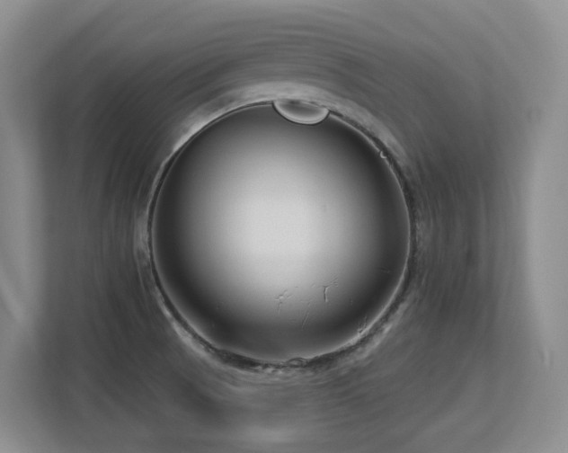 X0000113271521200909101509