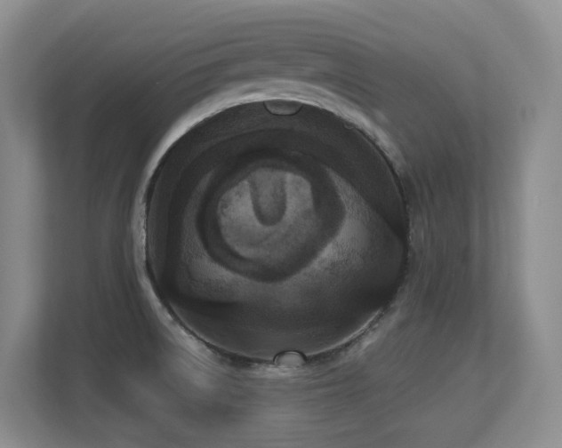 X0000113271522200909101509