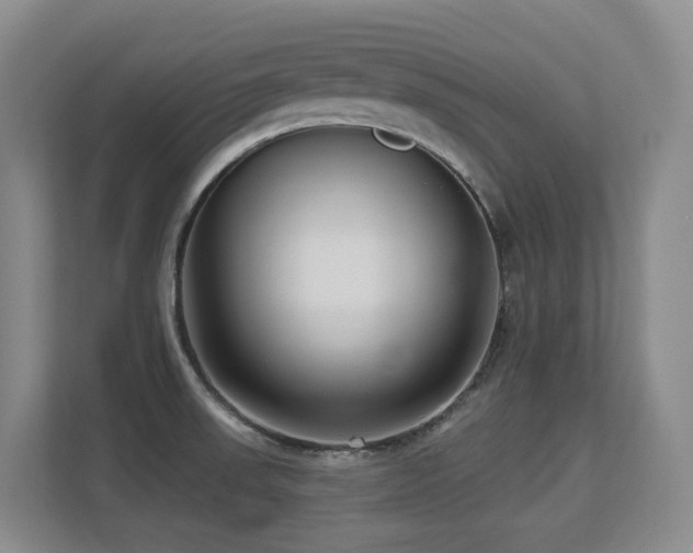 X0000113271523200909101509