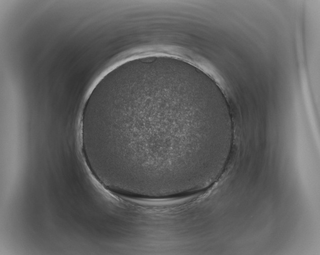 X0000113271524200909101509