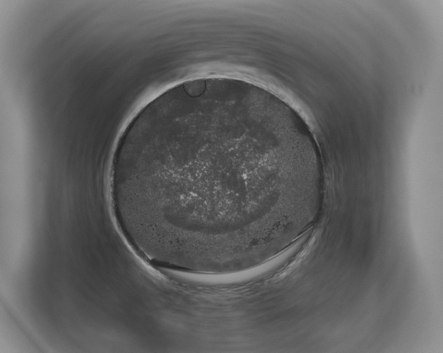 X0000113271525200909101509